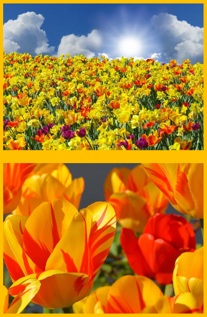 Frühling